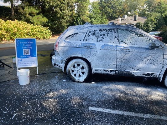 What is the purpose of a leather conditioning protection on car?