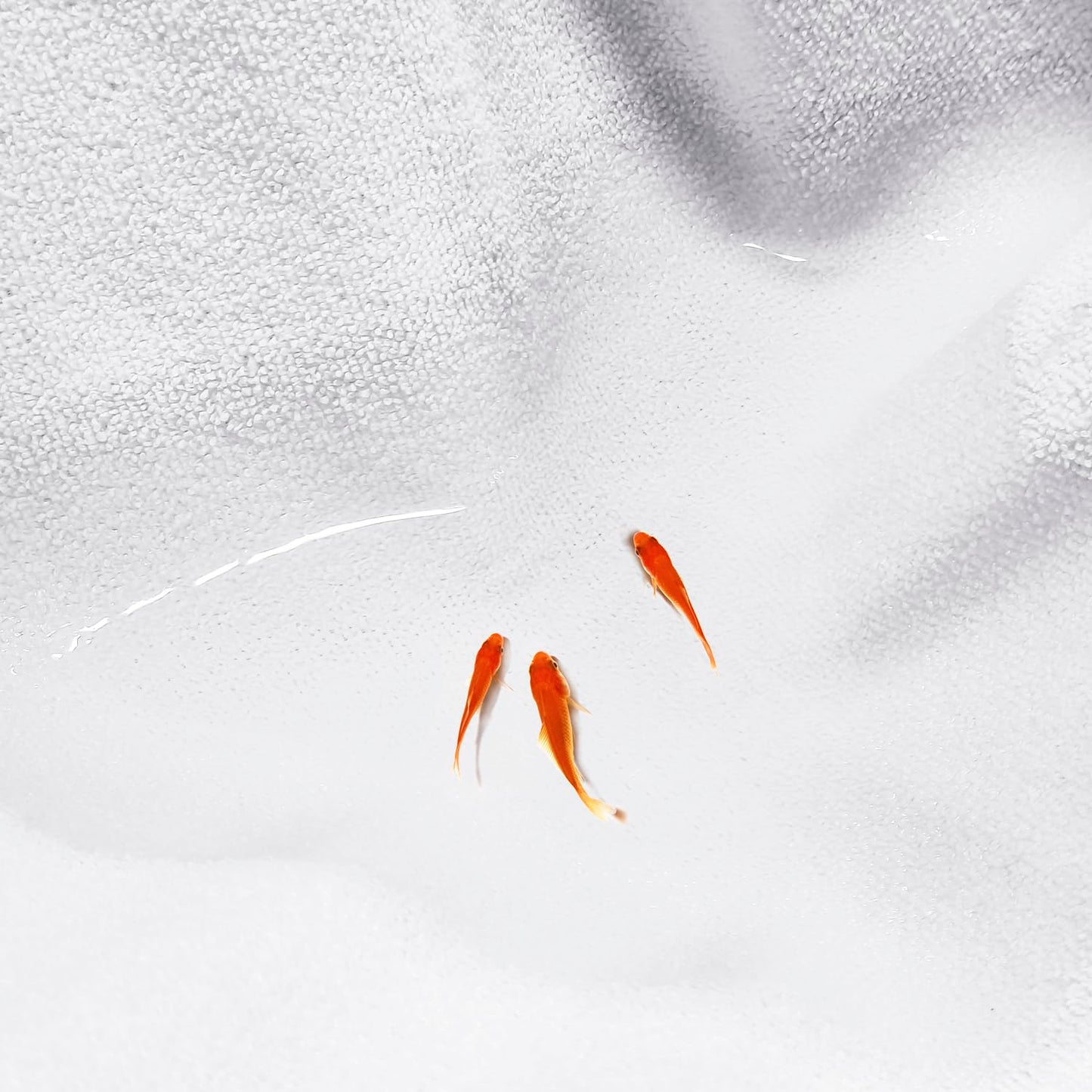 Waterproof Car Seat Cover for Athletes - Sweat-Proof Towel Bucket Seat Protector for Post-Gym, Running, Swimming & Beach - Universal Fit, Black